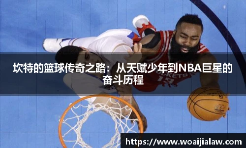 南宫28NG相信品牌力量